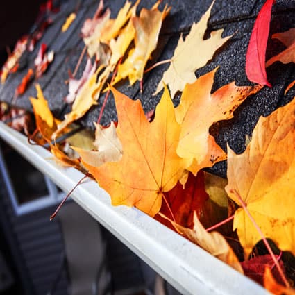 Autumn-leaves-in-a-rain-gutter-269021347-1.jpeg