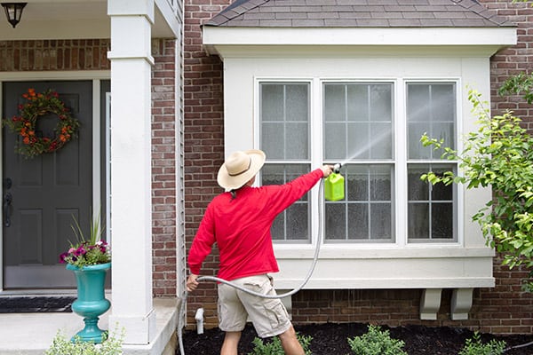 pressure-washing-algae-growth-on-windows.jpg