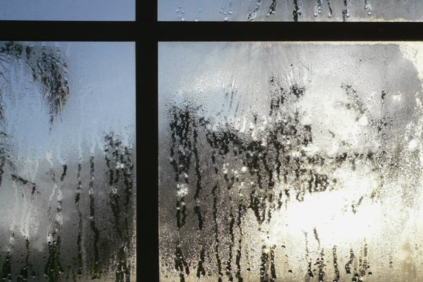 window-condensation-1.jpg