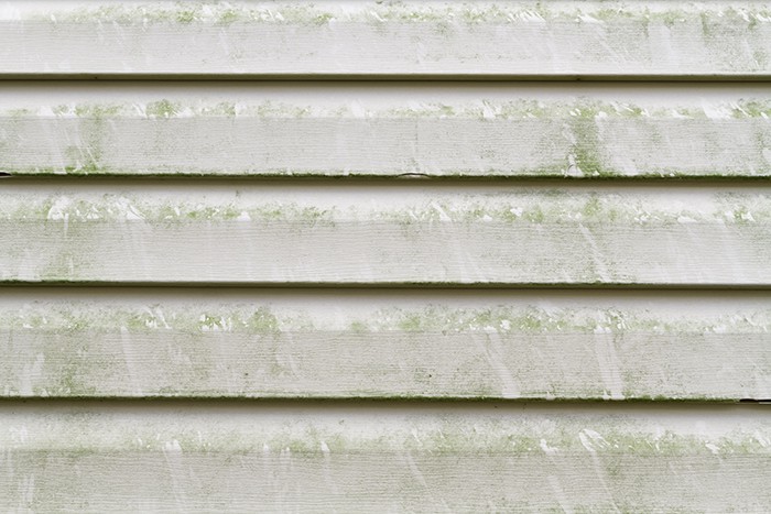 siding-green.jpg