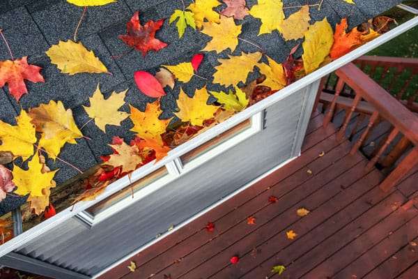 Autumn-leaves-in-a-rain-gutter-1.jpeg