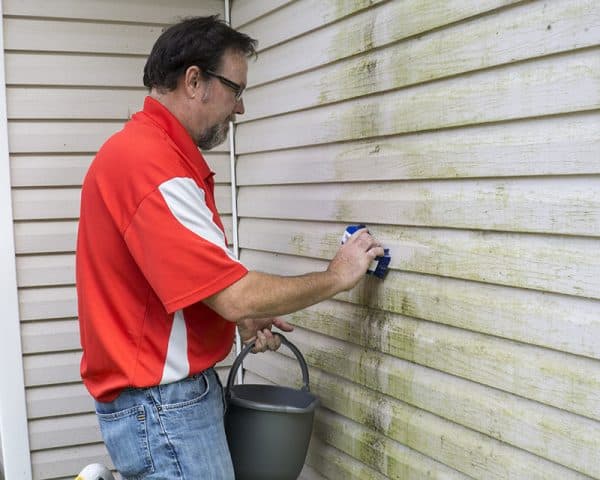 mold-on-siding-1.jpg