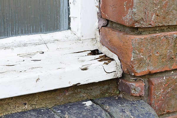 wooden-window-frame-damaged-from-moisture.jpg