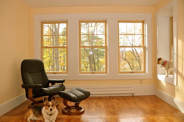 living-room-double-hung-windows.jpg