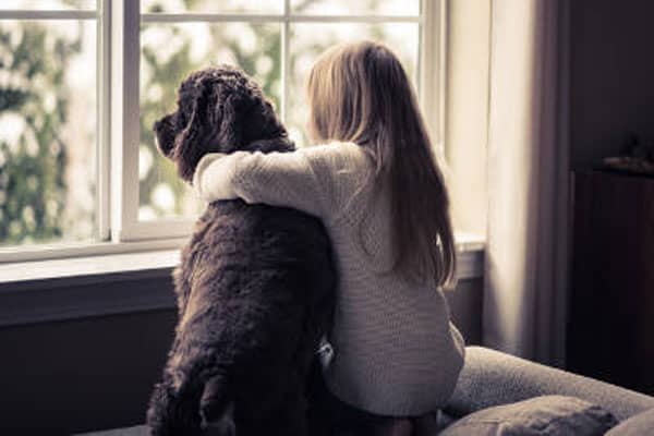 window-safety-children-pets-1.jpg