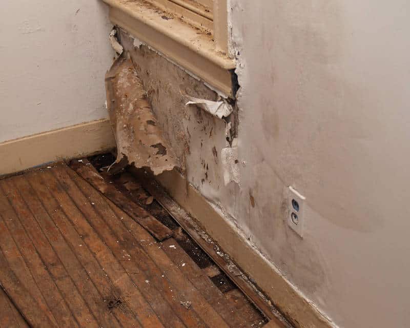 water-damage-3.jpg