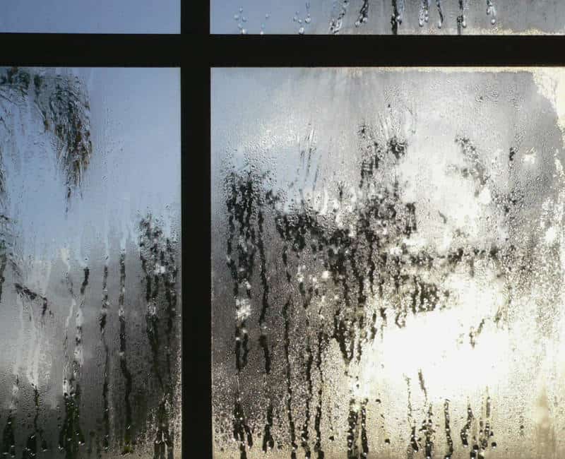 window-condensation-2.jpg