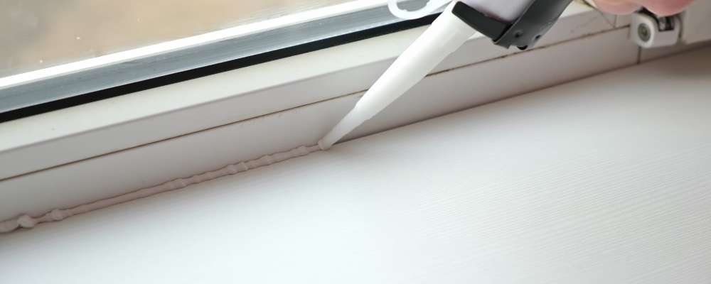 home_renewal_bugs_off_of_windows (1).png