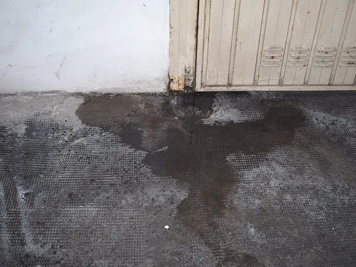 garage-door-leaks.webp