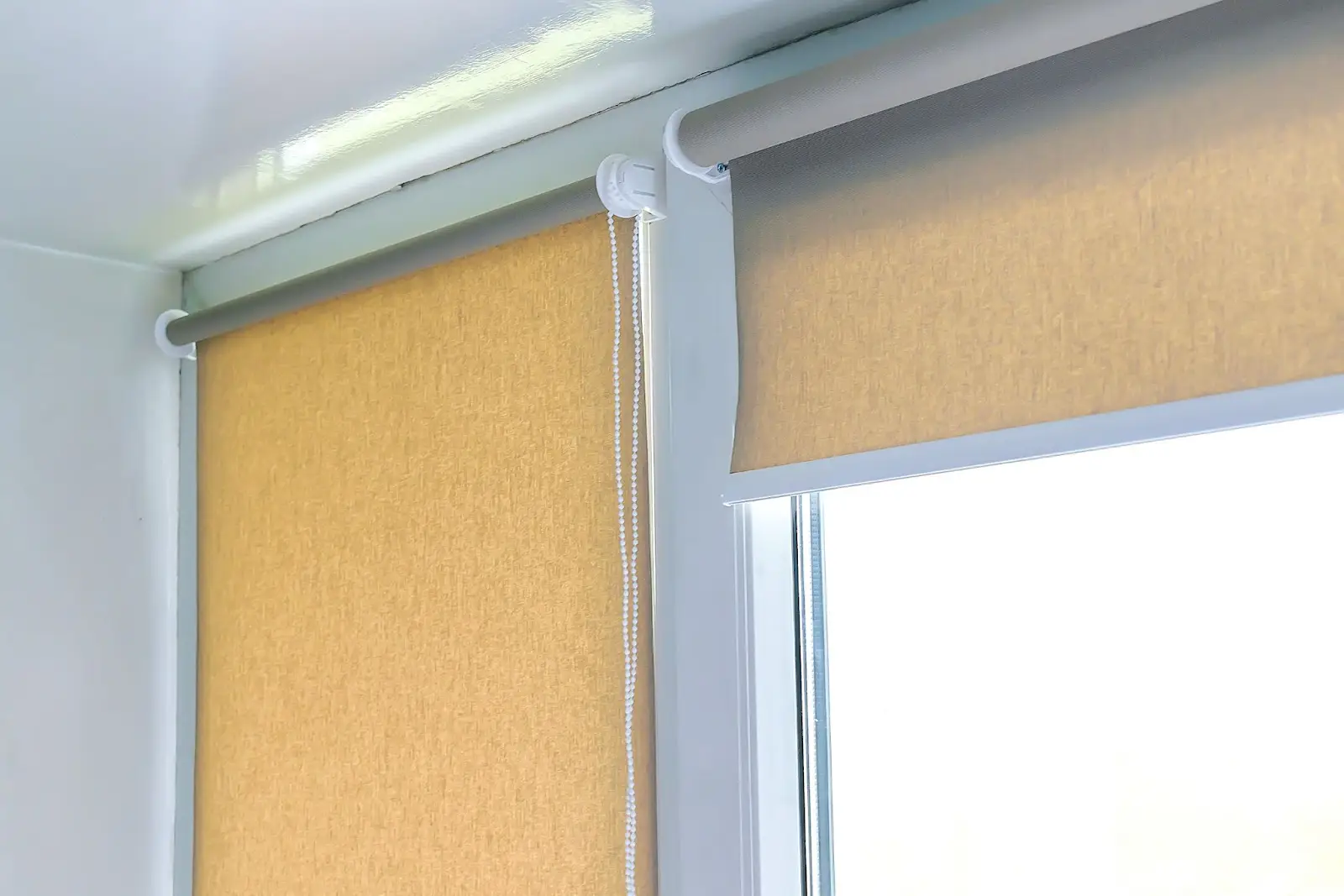 Bold Roller Shades - Window Privacy Idea
